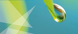 Newsletter KPMGnet